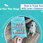 Canine Coaching You'll Enjoy – Dogster