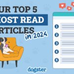 Dogster_The 5 Most Read Articles