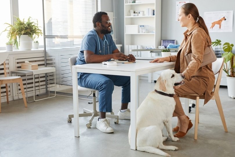 The dog owner is talking to a doctor