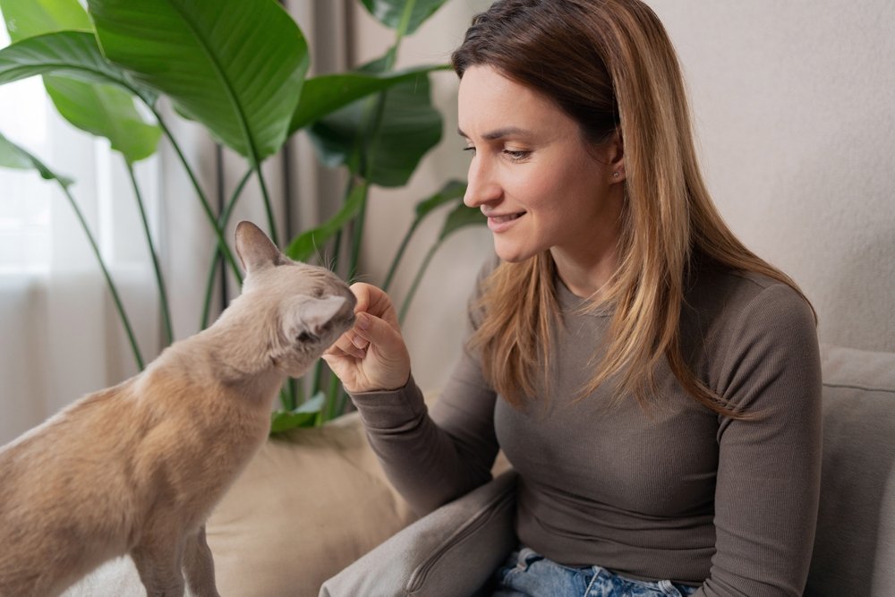 The woman's owner is treating her cat