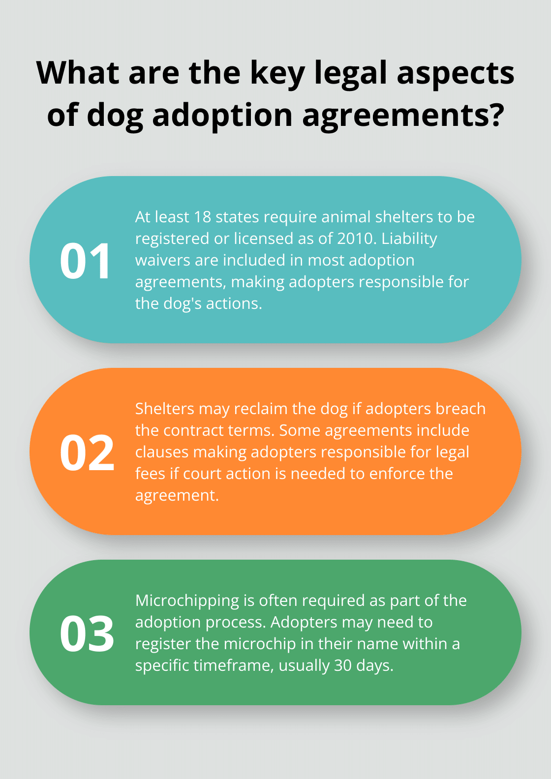 Infographic: What are the key legal aspects of the adoption contracts to the dog?