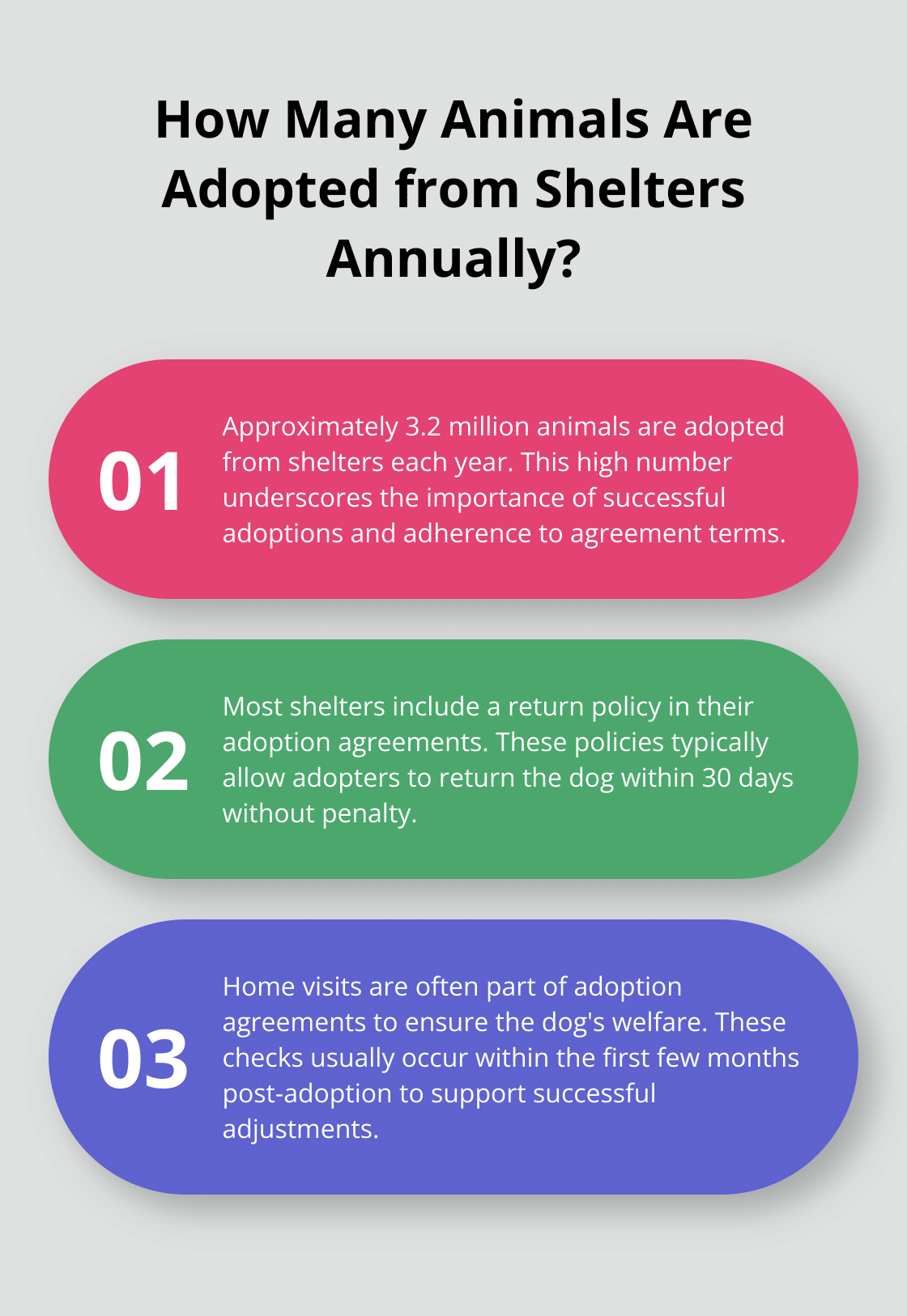 Infographic: How many animals are adopted from annual shelters?