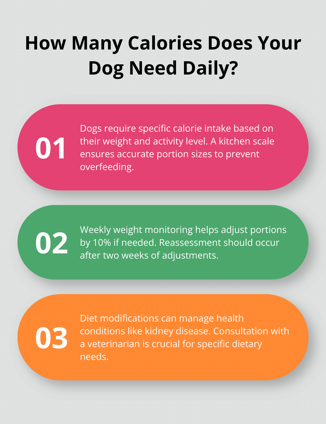 Infographic: How many calories do your dog need daily? - Dog Food Nutrition Calculator