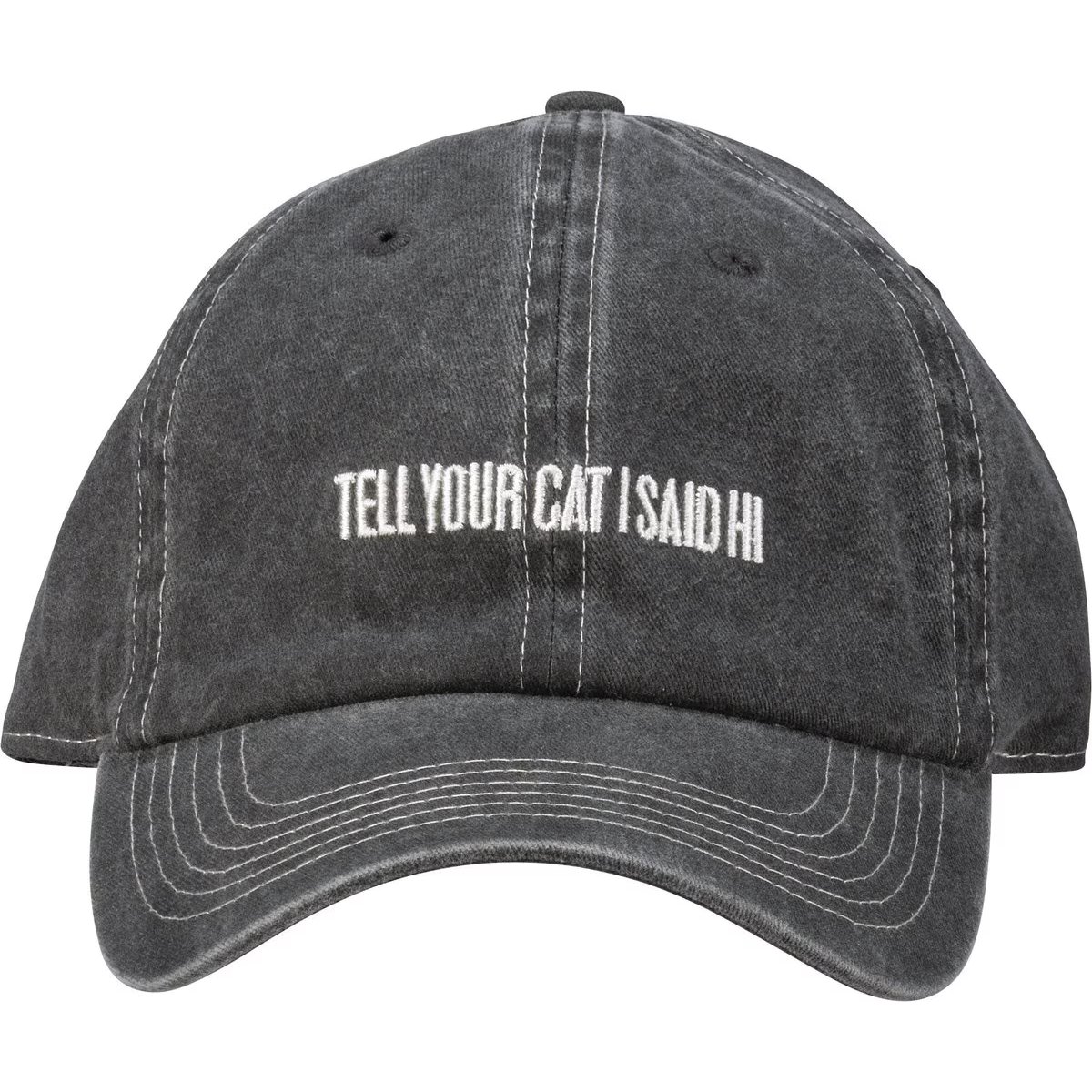 Ancient by the cat's cat baseball cap