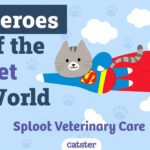 Sploot Veterinary Care Heroes of the Pet world