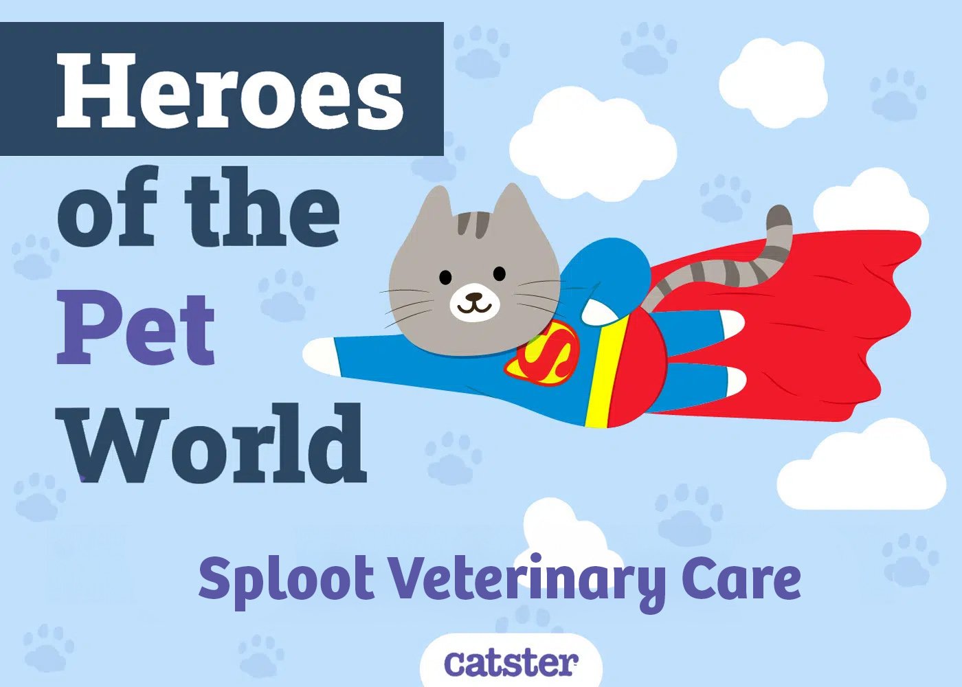 Sploot Veterinary Care Heroes of the Pet world