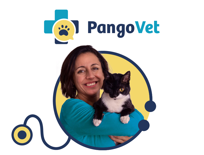 Pangovet