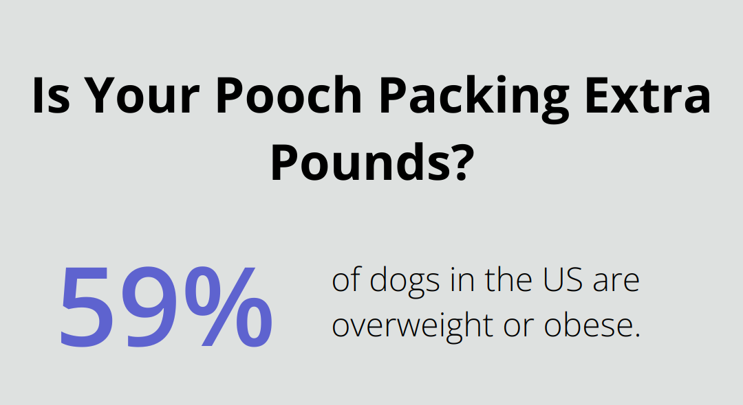 Infographic: Is your pok packed extra pounds? - Dog Food Nutrition Calculator