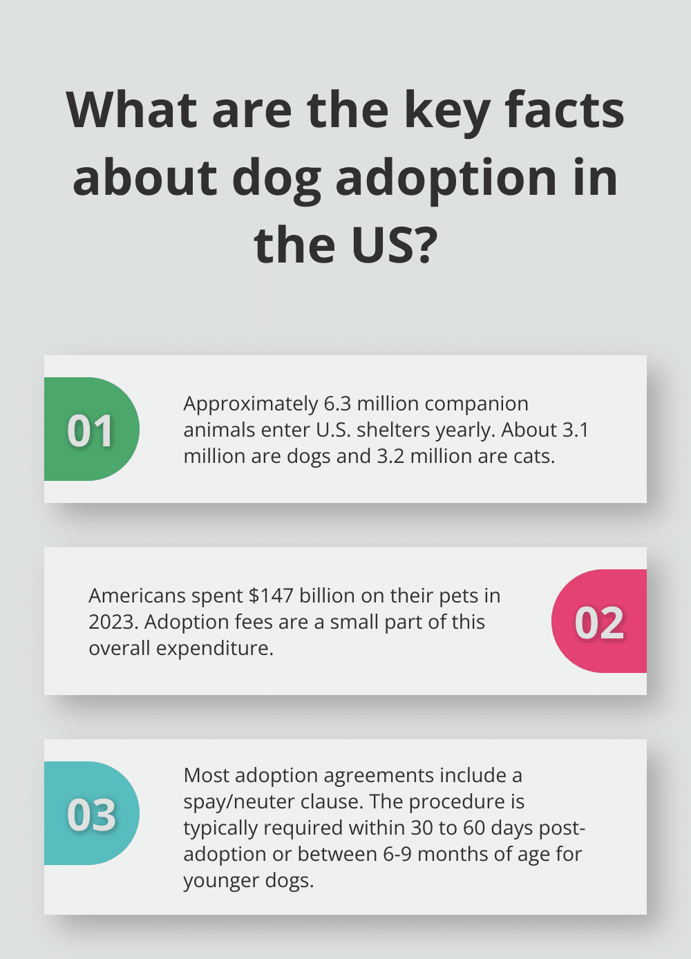 Infographic: What are the key facts about adoption of a dog in the United States? - Consignment to adopt a dog